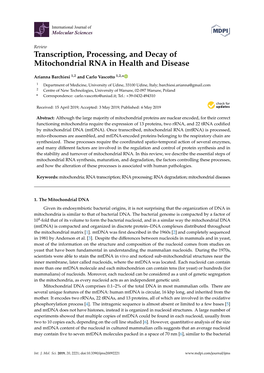 Transcription, Processing, and Decay of Mitochondrial RNA in Health and Disease