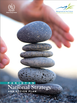 Pakistan National Strategy and Action Plan