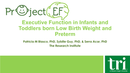 Executive Function in Infants and Toddlers Born Low Birth Weight and Preterm