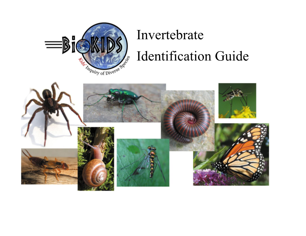 Invertebrate Identification Guide 1 Welcome to the Biokids Invertebrate