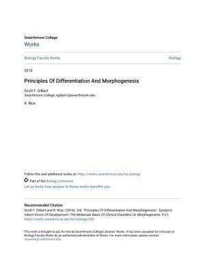 Principles of Differentiation and Morphogenesis
