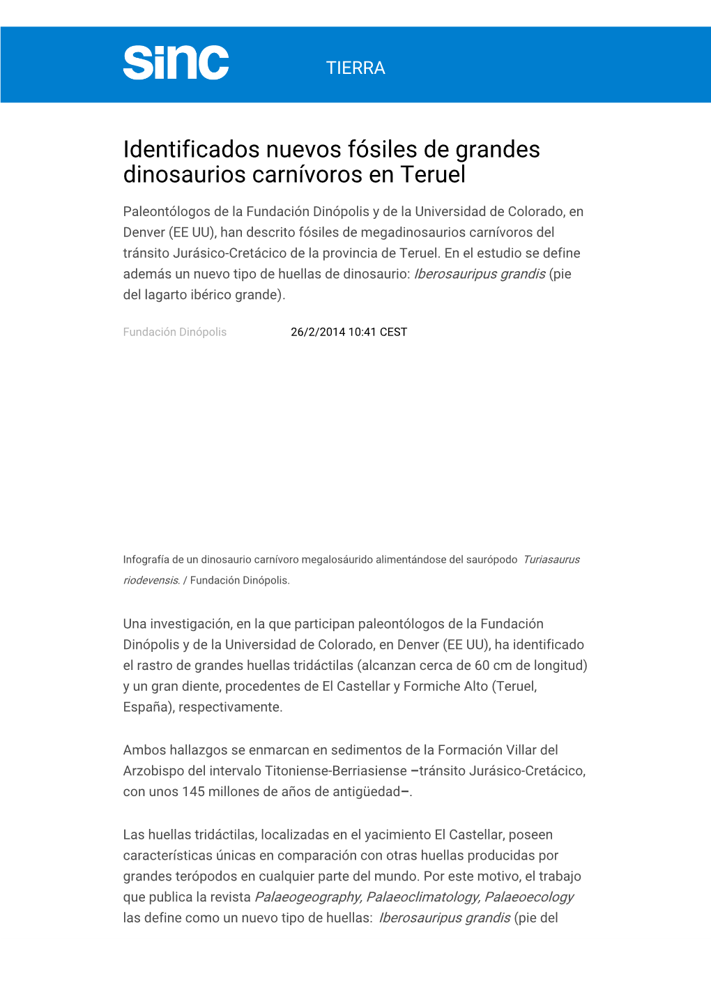 Identificados Nuevos Fósiles De Grandes Dinosaurios Carnívoros En Teruel