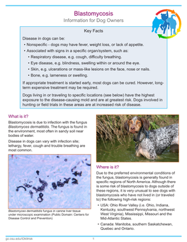 Blastomycosis Information for Dog Owners