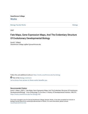 Fate Maps, Gene Expression Maps, and the Evidentiary Structure of Evolutionary Developmental Biology