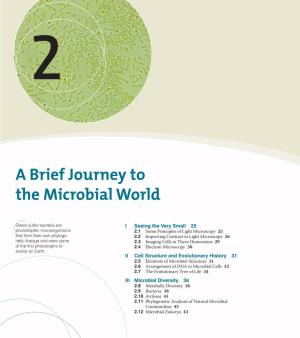 A Brief Journey to the Microbial World