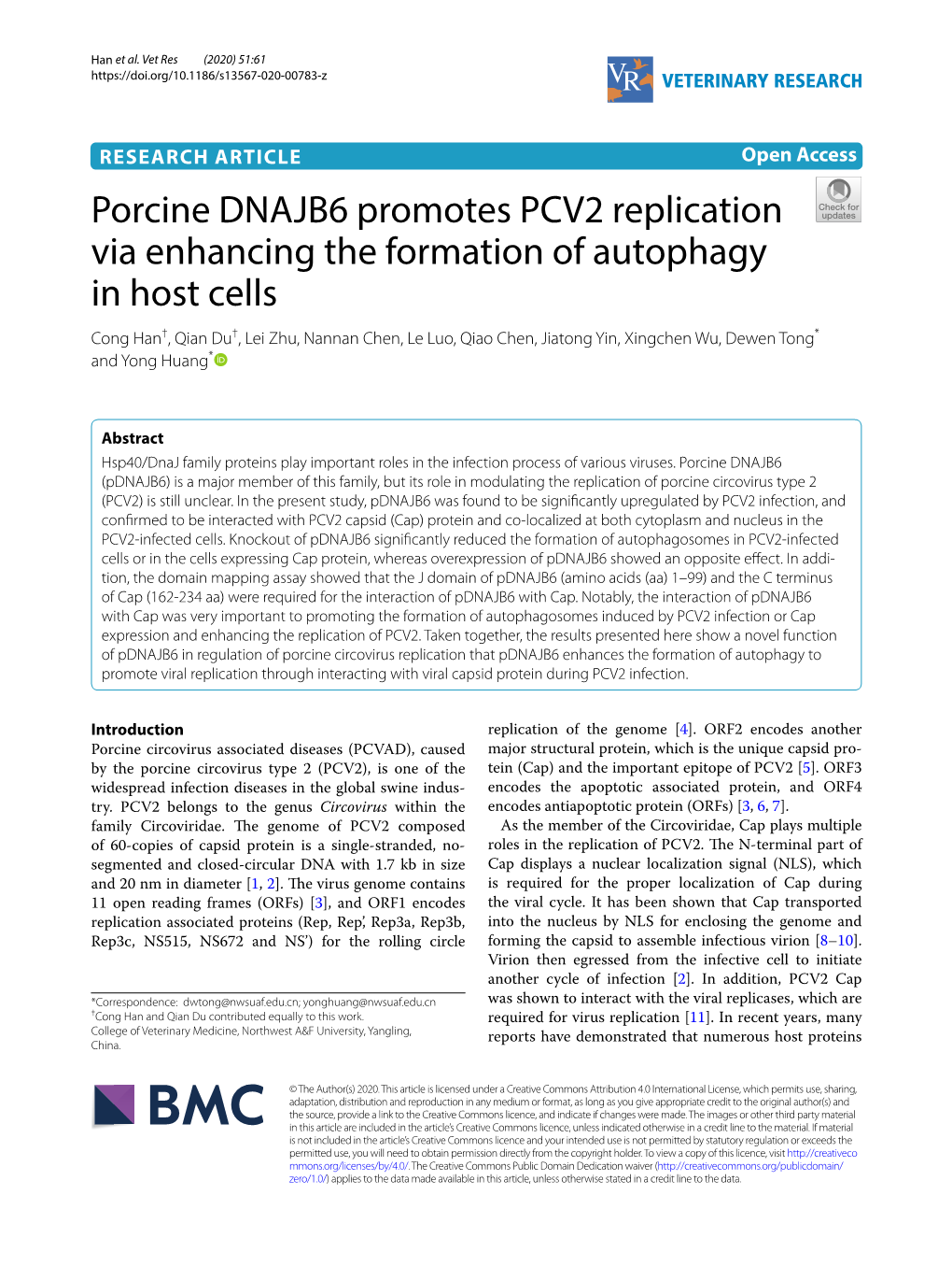 Porcine DNAJB6 Promotes PCV2 Replication Via Enhancing The