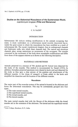 Studies on the Abdominal Musculature of the Subterranean Mysid, Lepidomysis /Ongipes (Pillai and Mariammal