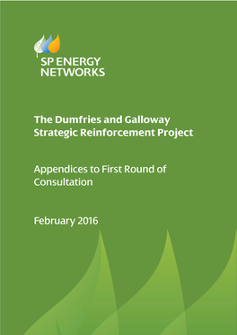 The Dumfries and Galloway Strategic Reinforcement Project Appendices