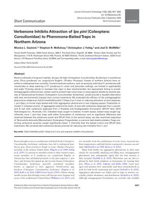 Verbenone Inhibits Attraction of Ips Pini (Coleoptera: Curculionidae) to Pheromone-Baited Traps in Northern Arizona