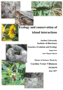 Ecology and Conservation of Island Interactions