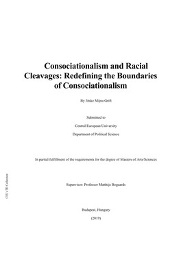 Consociationalism and Racial Cleavages: Redefining the Boundaries of Consociationalism