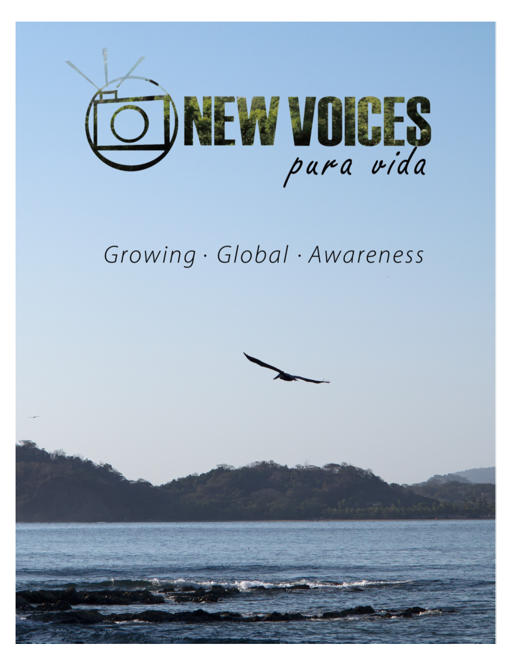 New Voices Costa Rica Servic
