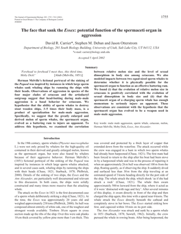 Potential Function of the Spermaceti Organ in Aggression David R