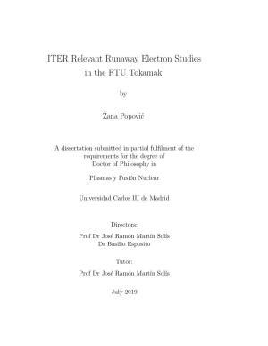 ITER Relevant Runaway Electron Studies in the FTU Tokamak