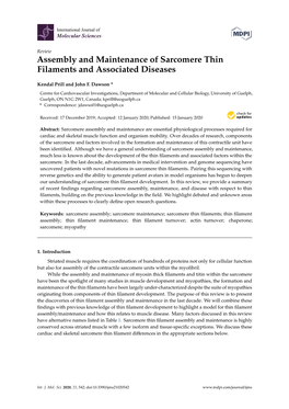 Assembly and Maintenance of Sarcomere Thin Filaments and Associated Diseases