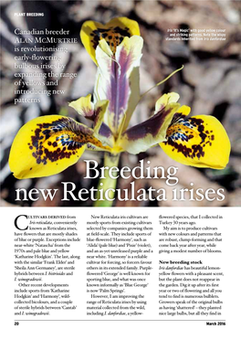Breeding New Reticulata Irises