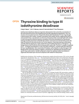 Thyroxine Binding to Type III Iodothyronine Deiodinase Craig A