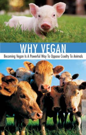 Why Vegan Becoming Vegan Is a Powerful Way to Oppose Cruelty to Animals the Animals We Eat