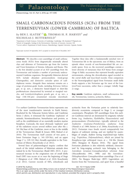 (Scfs) from the TERRENEUVIAN (LOWER CAMBRIAN) of BALTICA by BEN J
