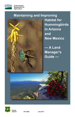Maintaining and Improving Habitat for Hummingbirds in Arizona and New Mexico