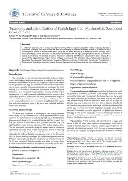 Taxonomy and Identification of Finfish Eggs from Muthupettai, South East