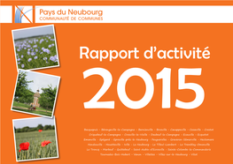 Rapport D'activité