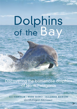 Bottlenose Dolphins of North Patagonia