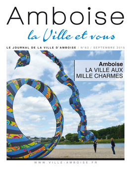 Amboise LA VILLE AUX MILLE CHARMES