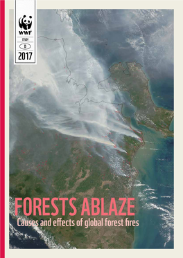 Forests Ablaze. Causes and Effects of Global Forest Fires