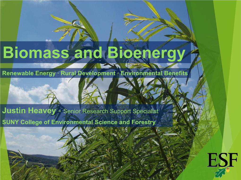 Biomass and Bioenergy