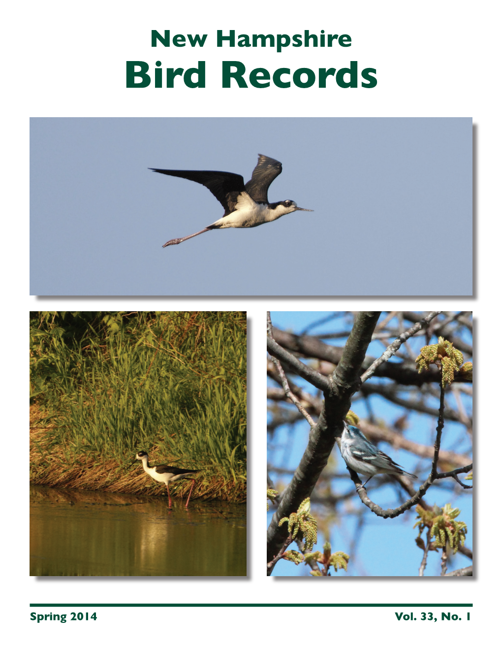 NH Bird Records