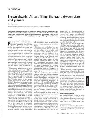 Brown Dwarfs: at Last Filling the Gap Between Stars and Planets
