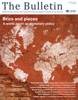 Brics and Pieces a World Apart on Monetary Policy