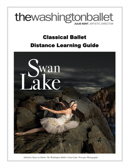 Classical Ballet Distance Learning Guide