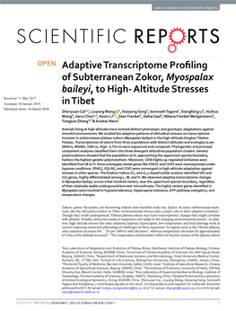 Adaptive Transcriptome Profiling of Subterranean Zokor, Myospalax