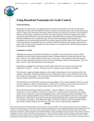 Using Beneficial Nematodes for Grub Control