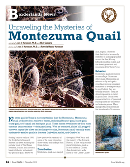 Montezuma Quail Article by Louis A