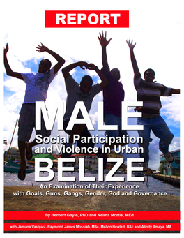 Male Social Participation and Violence in Urban Belize: an Examination of Their Experience with Goals, Guns, Gangs, Gender, God, and Governance