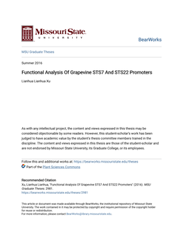 Functional Analysis of Grapevine STS7 and STS22 Promoters