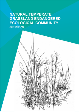 Natural Temperate Grassland Endangered Ecological Community Action Plan