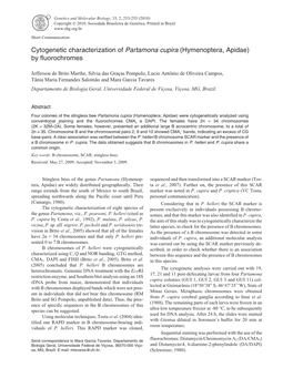 Cytogenetic Characterization of Partamona Cupira (Hymenoptera, Apidae) by Fluorochromes