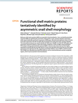 Functional Shell Matrix Proteins Tentatively Identified by Asymmetric