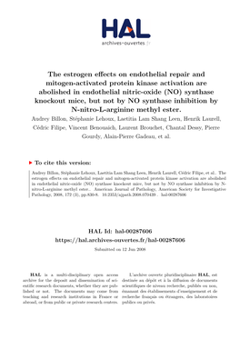 The Estrogen Effects on Endothelial Repair And