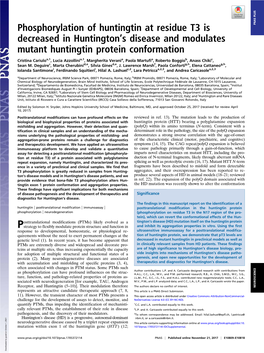 Phosphorylation of Huntingtin at Residue T3 Is Decreased In