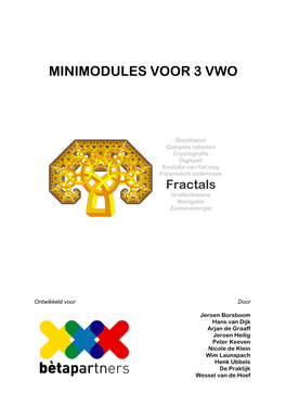 Fractals Vwo Leerling