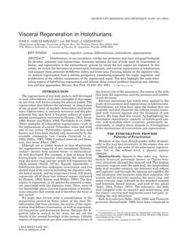 Visceral Regeneration in Holothurians