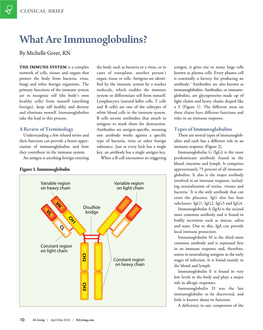 What Are Immunoglobulins? by Michelle Greer, RN