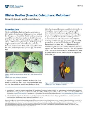 Blister Beetles (Insecta: Coleoptera: Meloidae)1 Richard B