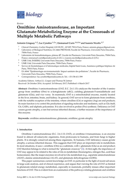 Ornithine Aminotransferase, an Important Glutamate-Metabolizing Enzyme at the Crossroads of Multiple Metabolic Pathways