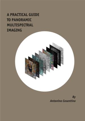 A Practical Guide to Panoramic Multispectral Imaging